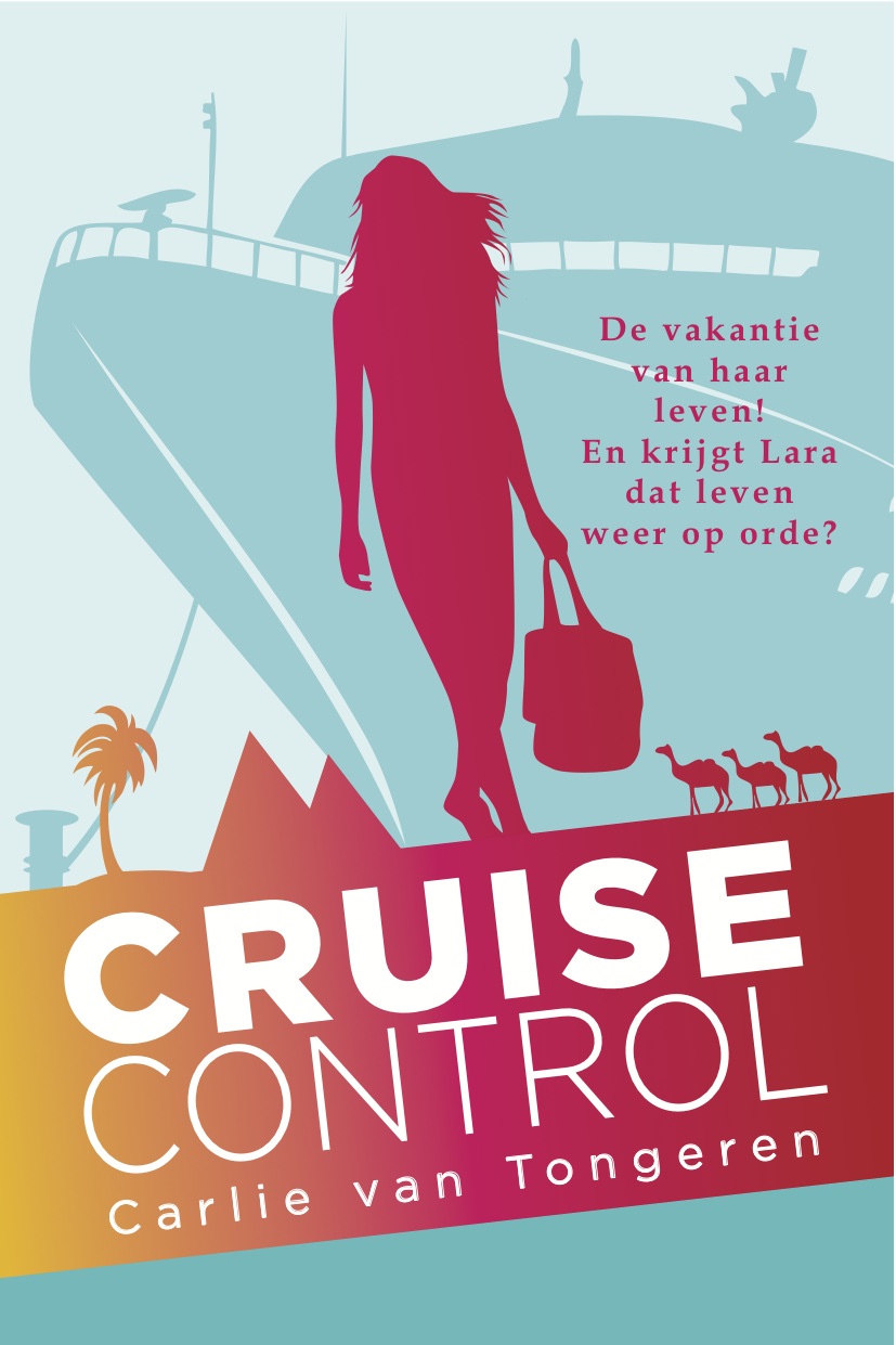 Cruise control cover